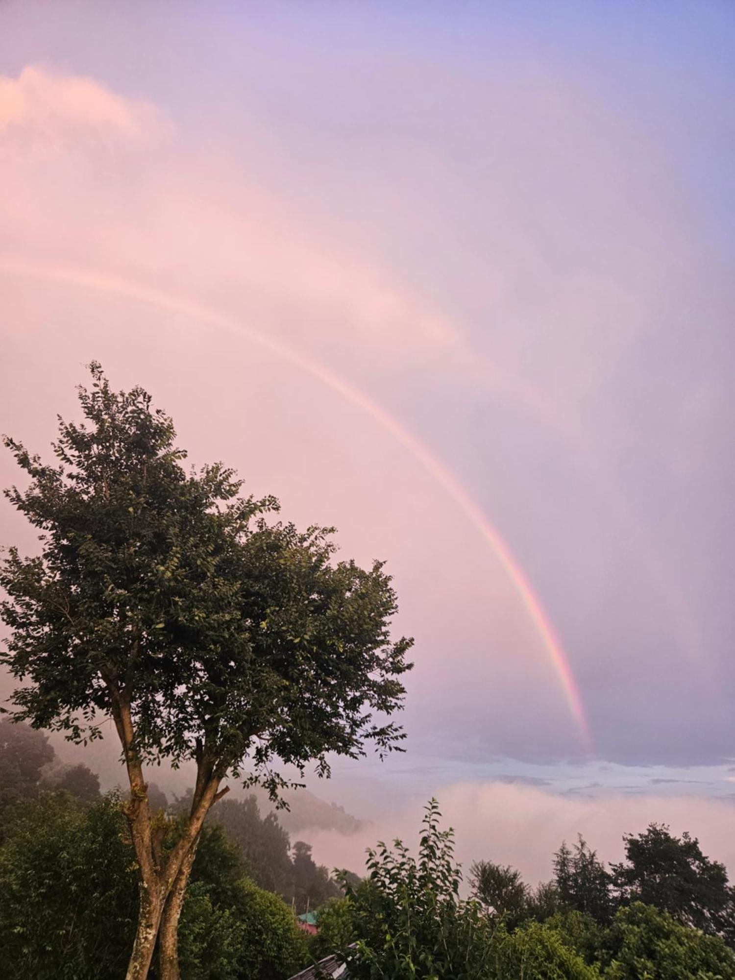 Dadi Homestay 360 Mountain View Bīr エクステリア 写真